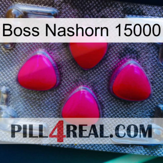 Boss Rhino 15000 13